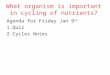 What organism is important in cycling of nutrients? Agenda for Friday Jan 9 th 1.Quiz 2.Cycles Notes