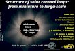 Solar eclipse, 11.8.1999, Wendy Carlos and John Kern Structure of solar coronal loops: from miniature to large-scale Hardi Peter Max Planck Institute for