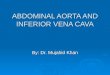ABDOMINAL AORTA AND INFERIOR VENA CAVA By: Dr. Mujahid Khan