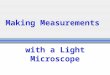 Making Measurements with a Light Microscope. Metric Conversions 1 mm = 1000 μm 1 μm = 1/1000 mm