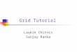 Grid Tutorial Laukik Chitnis Sanjay Ranka. Outline Distributed Applications Distributed Computing – the paradigm Problems and Solutions Web Services and