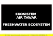 EKOSISTEM AIR TAWAR FRESHWATER ECOSYSTEM SUMBER: bioenviroclasswiki.wikispaces.com/.../FRESHWATER+ECOSYSTEM+P