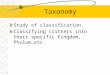 Taxonomy Study of classification Classifying critters into their specific Kingdom, Phylum…etc