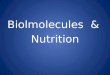 Biolmolecules & Nutrition. e CHNOPS CarbonNitrogen Oxygen Phosphorus Sulfur Hydrogen