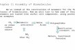 Chapter 11 Assembly of Biomolecules We’ve looked at the construction of monomers for the four classes of biomolecules. Now we will turn to how some of
