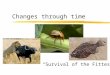 Changes through time “Survival of the Fittest”. Evidence that life has changed and is now changing