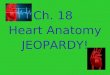 Ch. 18 Heart Anatomy JEOPARDY!. Coverings, Layers & Chambers Pathway of Blood Heart Valves Properties of Cardiac Muscle RANDOM! 10 20 30 40 50 Final Jeopardy