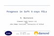 Progress in Soft X-rays FELs R. Bartolini Diamond Light Source Ltd and John Adams Institute, University of Oxford FLS 2010 SLAC, 01 March 2010