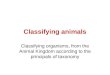 Classifying animals Classifying organisms, from the Animal Kingdom according to the principals of taxonomy