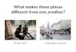 What makes these places different from one another? Aleppo, Syria Copenhagen, Denmark