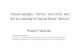 Basal Ganglia, Tremor, Vim-DBS, and the Excitability of Spinal Motor Neuron Pooya Pakarian Presentation based on: Pakarian P, Rayegani SM, and Shahzadi