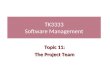 TK3333 Software Management Topic 11: The Project Team