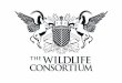 BEYOND IMAGINATION This is Africa LIVE THE EXPERIENCE The Wildlife Consortium PTY LTD invites investors and organizations to participate in an exceptional