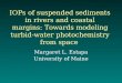 IOPs of suspended sediments in rivers and coastal margins: Towards modeling turbid-water photochemistry from space Margaret L. Estapa University of Maine