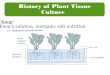 History of Plant Tissue Culture 1861Knop: Knop’s solution, inorganic salt nutrition