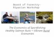 Board of Forestry- Riparian Workshop The Economics of Sportfishing; Healthy Salmon Runs = Vibrant Rural Economies