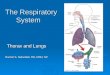 The Respiratory System Thorax and Lungs Rachel S. Natividad, RN, MSN, NP