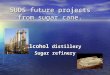 SUDS future projects from sugar cane. Alcohol distillery Sugar refinery