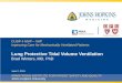 CUSP 4 MVP – VAP Improving Care for Mechanically Ventilated Patients Lung Protective Tidal Volume Ventilation Brad Winters, MD, PhD ARMSTRONG INSTITUTE