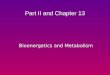 Bioenergetics and Metabolism Part II and Chapter 13