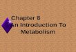 Chapter 8 An Introduction To Metabolism. Metabolism u The totality of an organism’s chemical processes. u Concerned with managing the material and energy