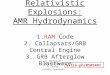 Relativistic Explosions: AMR Hydrodynamics 1.RAM Code 2. Collapsars/GRB Central Engine 3. GRB Afterglow Blastwave A. MacFadyen (IAS, Princeton) W. Zhang