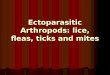 Ectoparasitic Arthropods: lice, fleas, ticks and mites