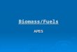 Biomass/Fuels APES. PRODUCING ENERGY FROM BIOMASS  Plant materials and animal wastes can be burned to provide heat or electricity or converted into gaseous