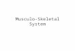 Musculo-Skeletal System. Role of the Musculo-skeletal System To provide support & protection for our organs Allows movement
