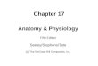 Chapter 17 Anatomy & Physiology Fifth Edition Seeley/Stephens/Tate (c) The McGraw-Hill Companies, Inc