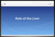 Role of the Liver. Do Now -Introductory Paragraph check-in