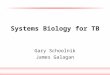 Systems Biology for TB Gary Schoolnik James Galagan