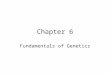 Chapter 6 Fundamentals of Genetics. What will we study? 6.1 Patterns of Inheritance 6.2 Principles of Inheritance 6.3 Genetics and Predictions 6.4 Difficult