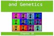 Sexual Reproduction and Genetics Chapter 10 