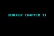 BIOLOGY CHAPTER 11. INTRODUCTION TO GENETICSPG 262