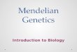 Mendelian Genetics Introduction to Biology. Gregor Mendel Gregor Mendel discovered the basic principles of heredity by breeding garden peas in carefully