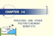 CHAPTER 14 PENSIONS AND OTHER POSTRETIREMENT BENEFITS