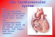 The Cardiovascular System The cardiovascular system transports materials to and from your cells.The cardiovascular system transports materials to and from