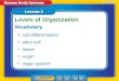 Lesson 2 Reading Guide - Vocab cell differentiation stem cell tissue organ organ system Levels of Organization
