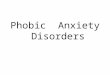Phobic Anxiety Disorders. What is a phobia ? Persistent irrational fear of an object, activity or situation and a wish to avoid it