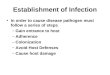 Establishment of Infection In order to cause disease pathogen must follow a series of steps –Gain entrance to host –Adherence –Colonization –Avoid Host