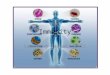 Immunity Learning Targets 2-11. Disease Basics Disease Disease – any change that disrupts the normal function of an organism Caused by… – Bacteria – Viruses