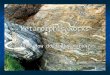 Metamorphic Rocks Aim: How do rocks morph?. 1. Metamorphic means… a. “" and “" means to a. “Meta" and “Morph" means to change form b. Any rock can become