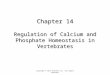 Chapter 14 Regulation of Calcium and Phosphate Homeostasis in Vertebrates Copyright © 2013 Elsevier Inc. All rights reserved