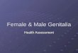 Female & Male Genitalia Health Assessment. Female Health History Menstrual History Age at menarche, frequency & duration of menstrual cycle, character