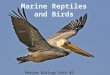 Marine Biology Unit #5.  Vertebrates  Scaly skin  Lay eggs  Reptiles found in subtropics and tropics  Birds found from tropics to polar seas