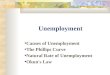 Unemployment ● Causes of Unemployment ● The Phillips Curve ● Natural Rate of Unemployment ● Okun's Law