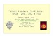 Tribal Leaders Institute: What, who, why & how Erich Longie, Ed.D. Spirit Lake Consulting, Inc An Indian Owned Company Located on Spirit Lake Nation Fort