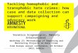 Tackling homophobic and transphobic hate crimes: how case and data collection can support campaigning and advocacy work Veronica Scognamiglio, Amnesty