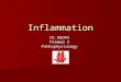 Inflammation Dr.ROOPA Premed 3 Pathophysiology. 2 Introduction: “Inflame” – to set fire. “Inflame” – to set fire. “Inflammation is a reaction of a tissue